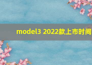 model3 2022款上市时间